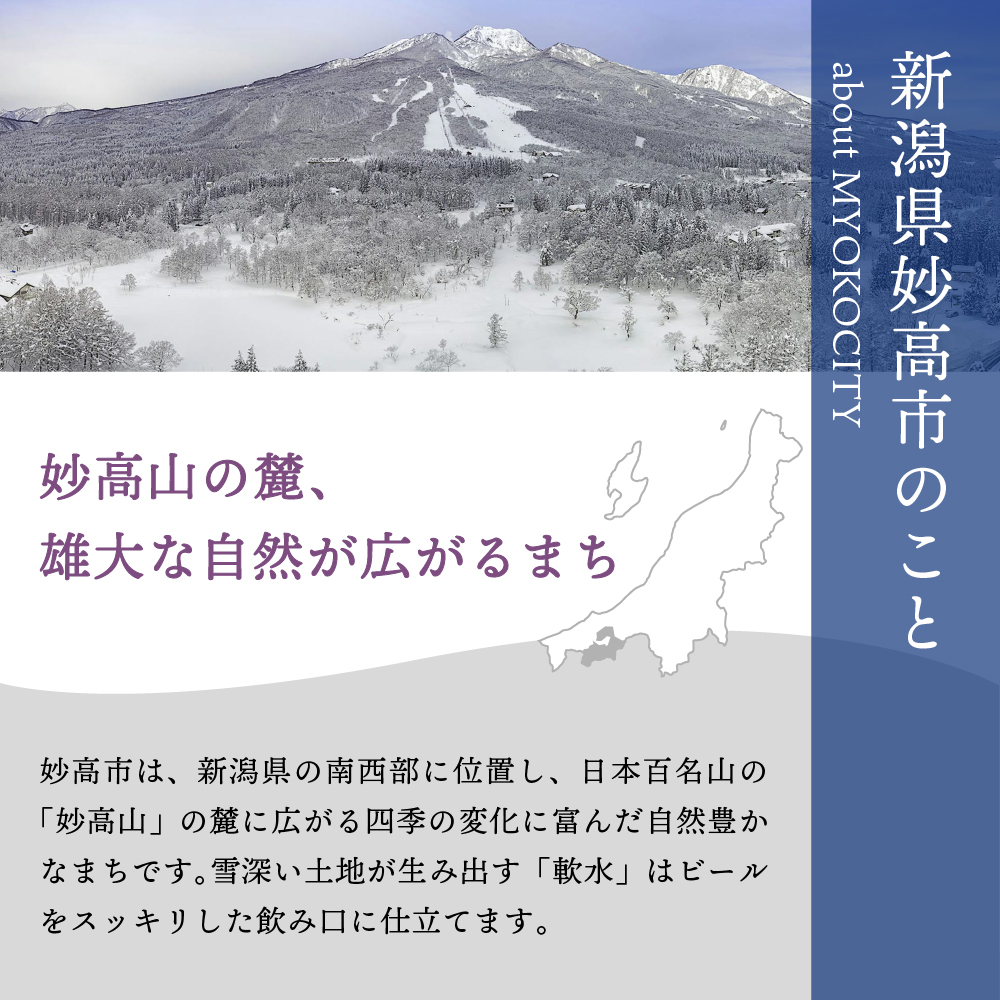 【2ヶ月定期便】妙高高原アルペンブリックビール３種ギフトセット(500ml×12本)全2回