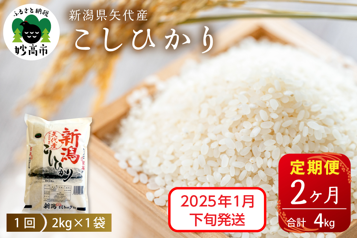 【2025年1月下旬発送】【定期便】令和6年産 新潟県矢代産コシヒカリ2kg×2回（計4kg）