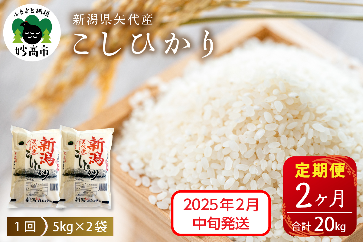 【2025年2月中旬発送】【定期便】令和6年産 新潟県矢代産コシヒカリ10kg(5kg×2袋)×2回（計20kg）