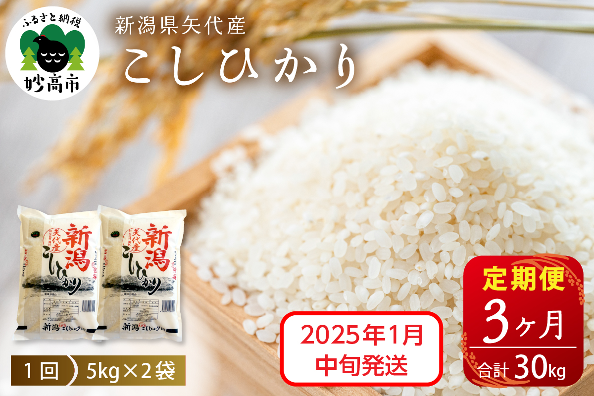 【2025年1月中旬発送】【定期便】令和6年産 新潟県矢代産コシヒカリ10kg(5kg×2袋)×3回（計30kg）