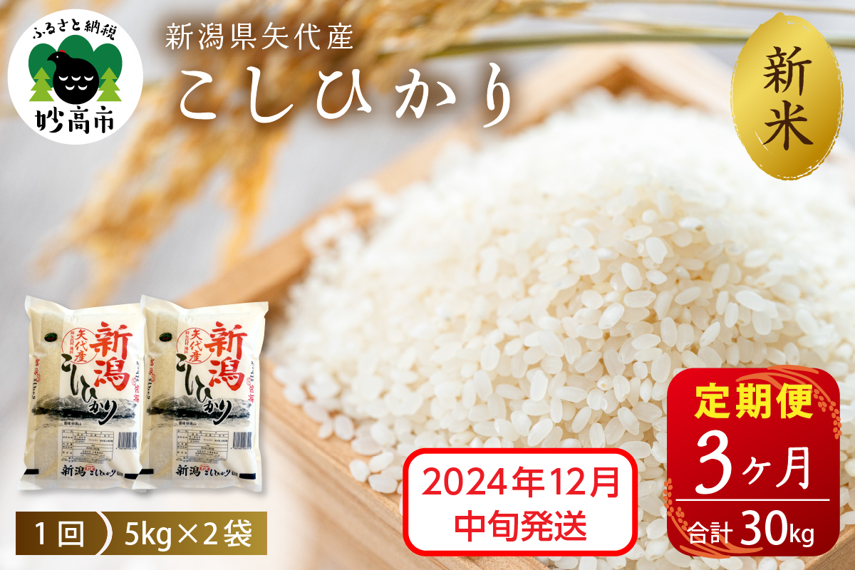 【2024年12月中旬発送】【定期便】令和6年産 新潟県矢代産コシヒカリ10kg(5kg×2袋)×3回（計30kg）