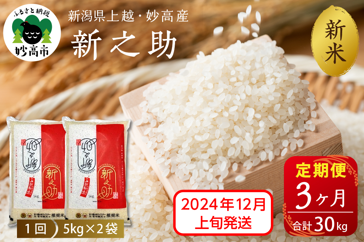 【2024年12月上旬発送】【定期便】令和6年産 新潟県上越・妙高産新之助10kg(5kg×2袋)×3回（計30kg）