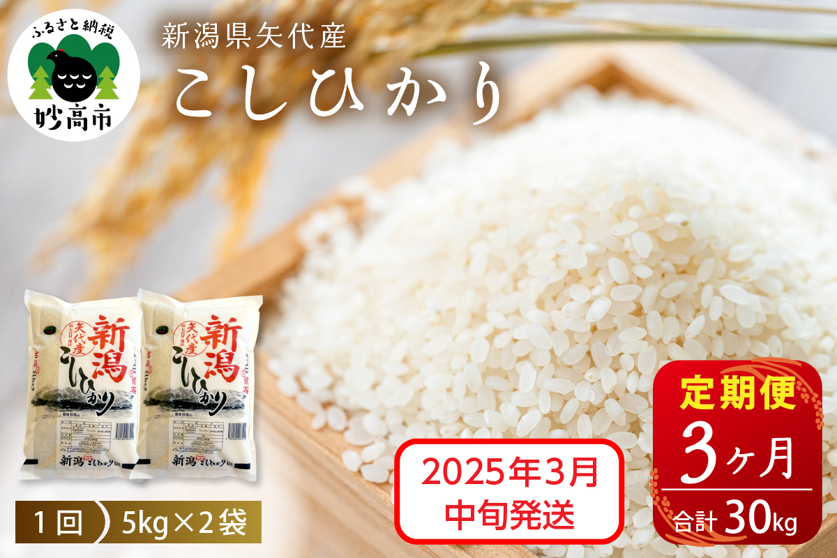 【2025年3月中旬発送】【定期便】令和6年産 新潟県矢代産コシヒカリ10kg(5kg×2袋)×3回（計30kg）