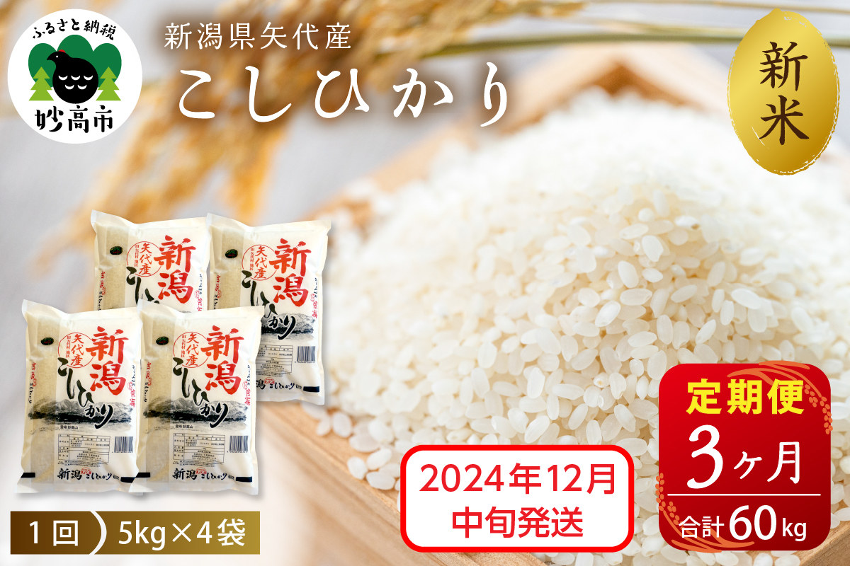 【2024年12月中旬発送】【定期便】令和6年産 新潟県矢代産コシヒカリ20kg(5kg×4袋)×3回（計60kg）