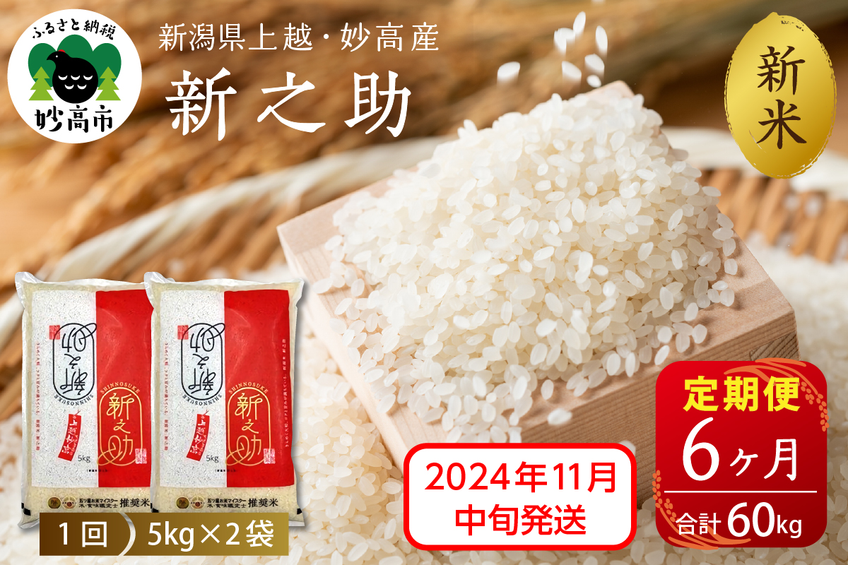 【2024年11月中旬発送】【定期便】令和6年産 新潟県上越・妙高産新之助10kg(5kg×2袋)×6回（計60kg）