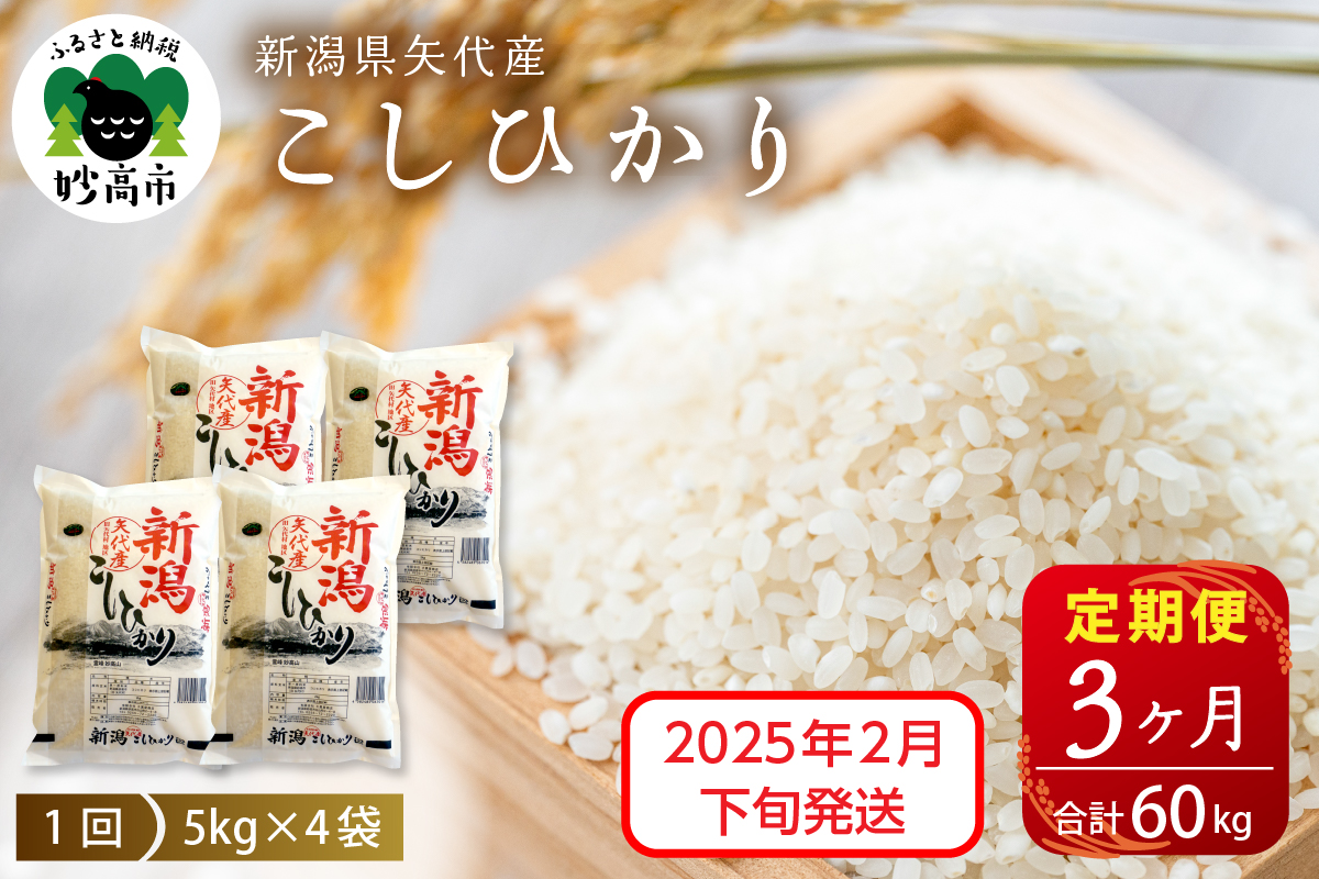 【2025年2月下旬発送】【定期便】令和6年産 新潟県矢代産コシヒカリ20kg(5kg×4袋)×3回（計60kg）