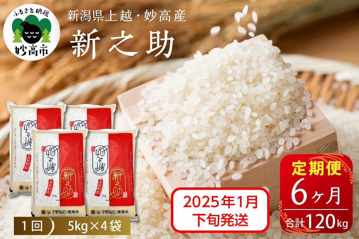 【2025年1月下旬発送】【定期便】令和6年産 新潟県上越・妙高産新之助20kg(5kg×4袋)×6回（計120kg）