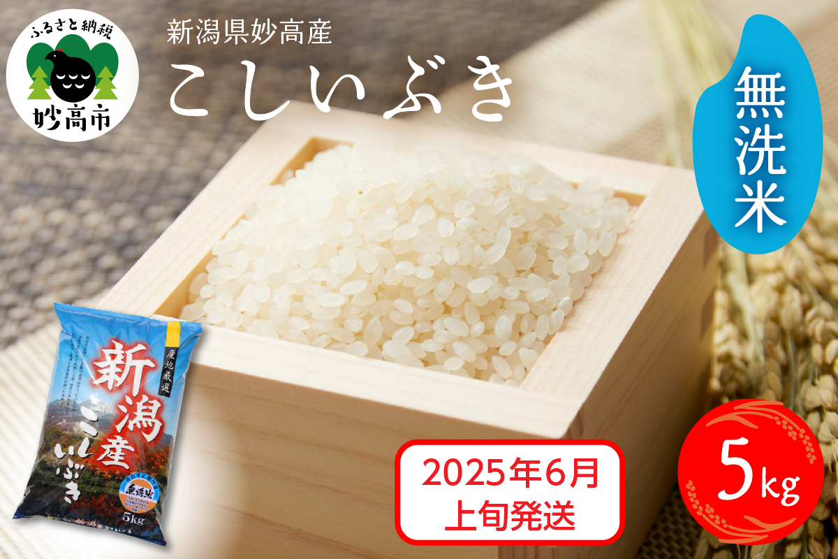 【2025年6月上旬発送】令和6年産 新潟県妙高産こしいぶき5kg 無洗米