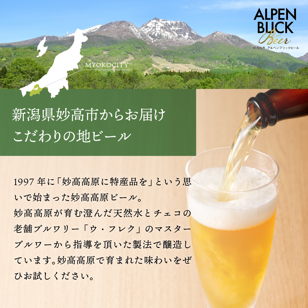 【12ヶ月定期便】妙高高原アルペンブリックビール３種ギフトセット(500ml×12本)全12回