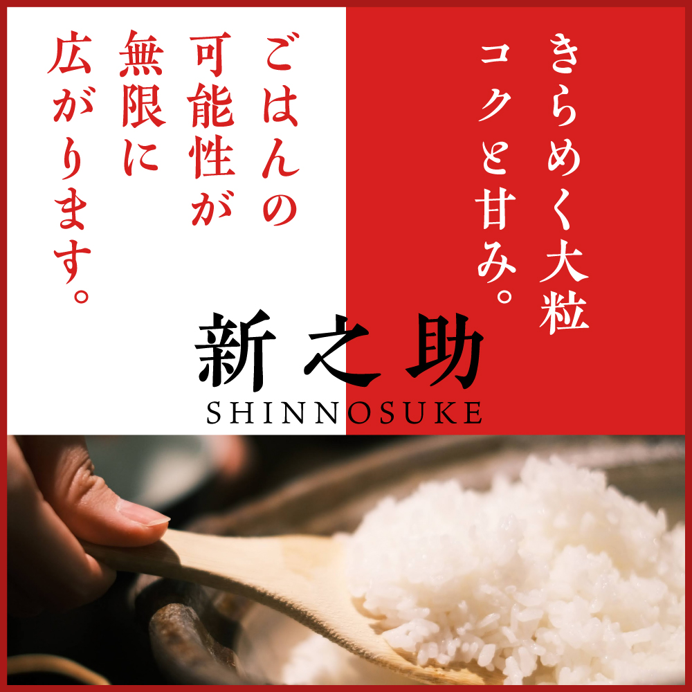 莉、蜥7蟷エ逕」 譁ー貎溽恁荳願カ雁ヲ咎ォ倡肇 譁ー荵句勧 20kg縲宣谺。逋コ騾√