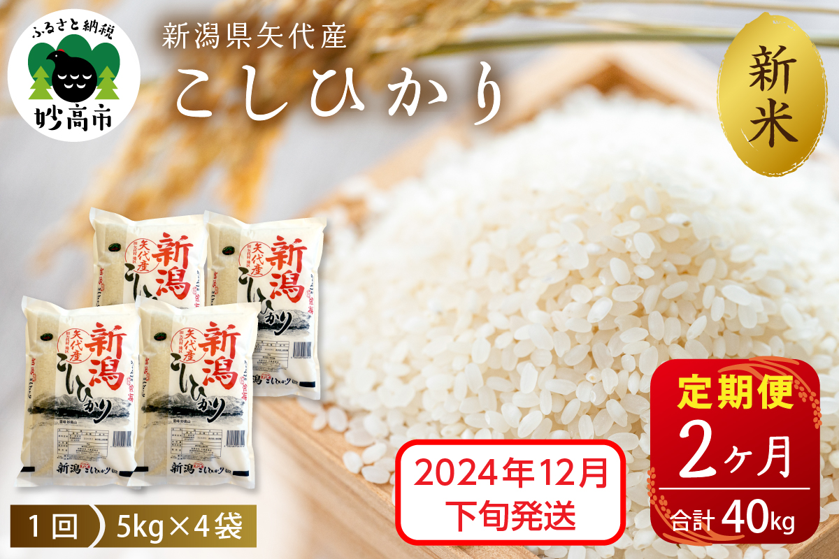 【2024年12月下旬発送】【定期便】令和6年産 新潟県矢代産コシヒカリ20kg(5kg×4袋)×2回（計40kg）