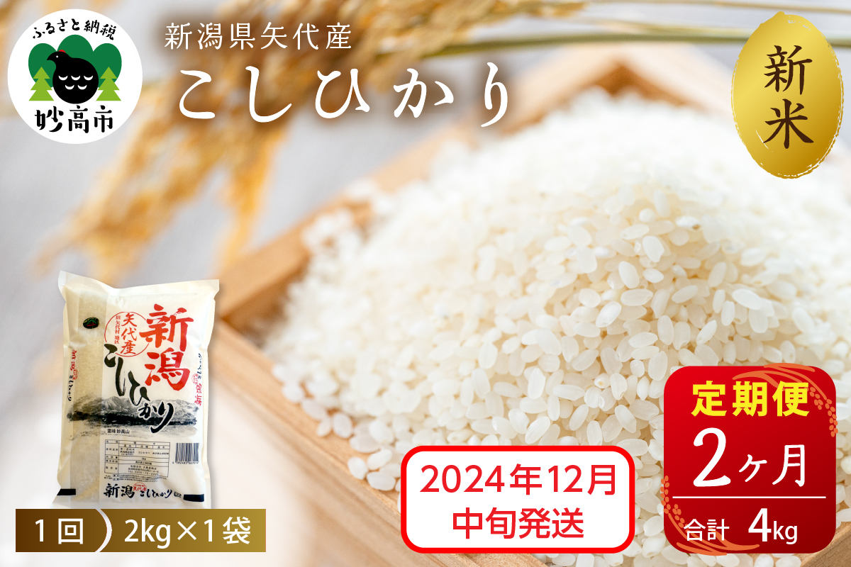 【2024年12月中旬発送】【定期便】令和6年産 新潟県矢代産コシヒカリ2kg×2回（計4kg）