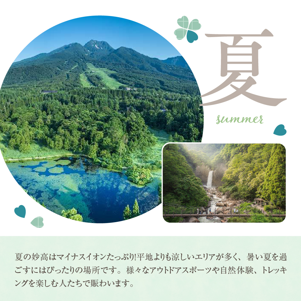 新潟県妙高市内宿泊利用券10,000円分2枚