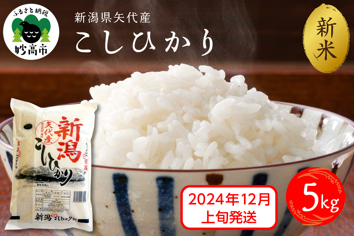 【2024年12月上旬発送】新潟県矢代産コシヒカリ5kg