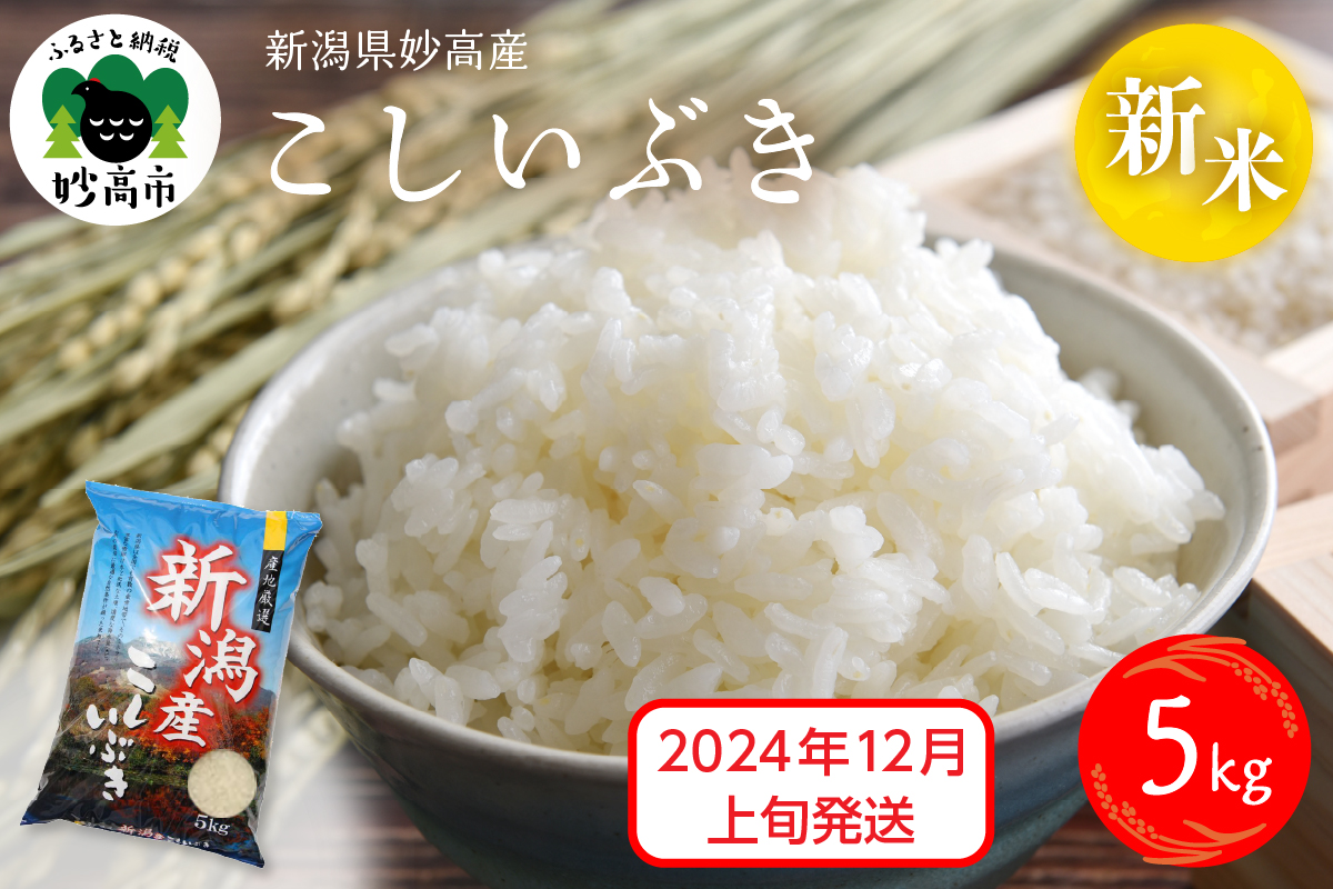 【2024年12月上旬発送】令和6年産 新潟県妙高産こしいぶき5kg