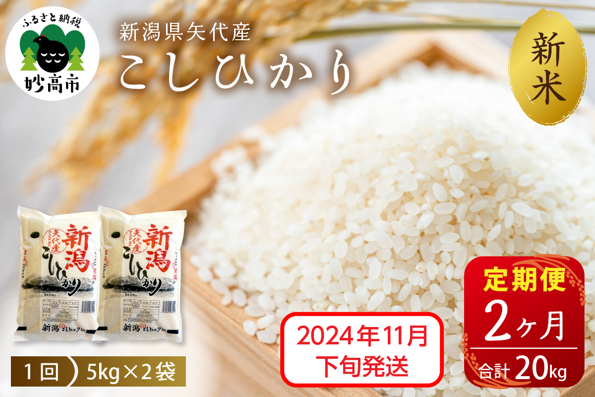 【2024年11月下旬発送】【定期便】令和6年産 新潟県矢代産コシヒカリ10kg(5kg×2袋)×2回（計20kg）