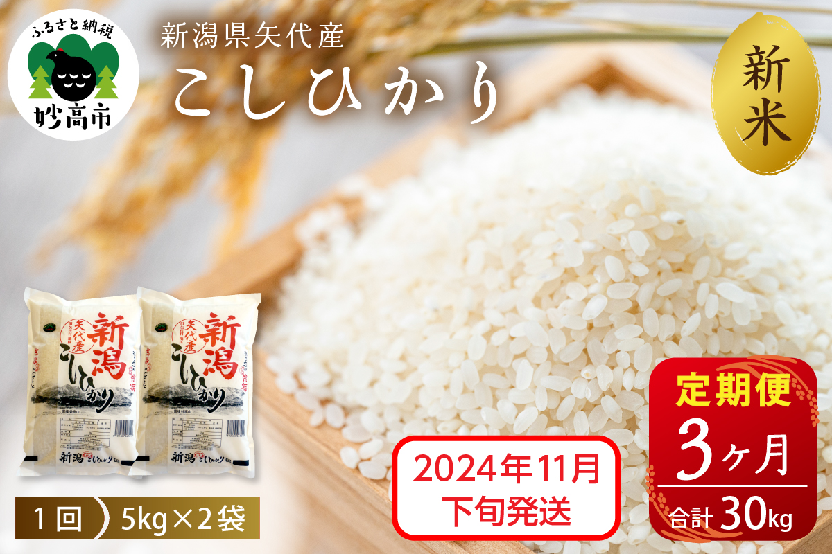 【2024年11月下旬発送】【定期便】令和6年産 新潟県矢代産コシヒカリ10kg(5kg×2袋)×3回（計30kg）