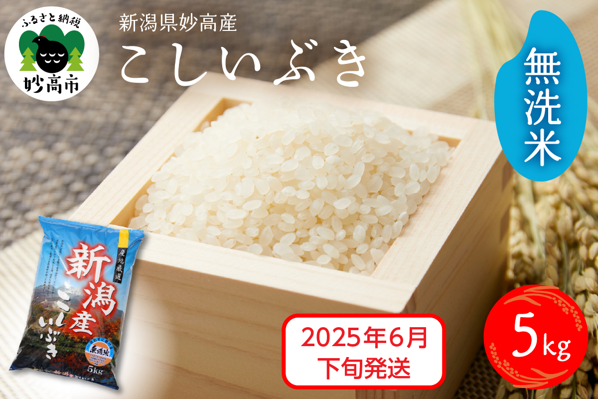 【2025年6月下旬発送】令和6年産 新潟県妙高産こしいぶき5kg 無洗米