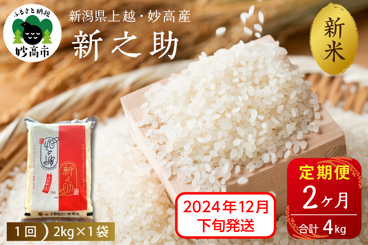 【2024年12月下旬発送】【定期便】令和6年産 新潟県上越・妙高産新之助2kg×2回（計4kg）