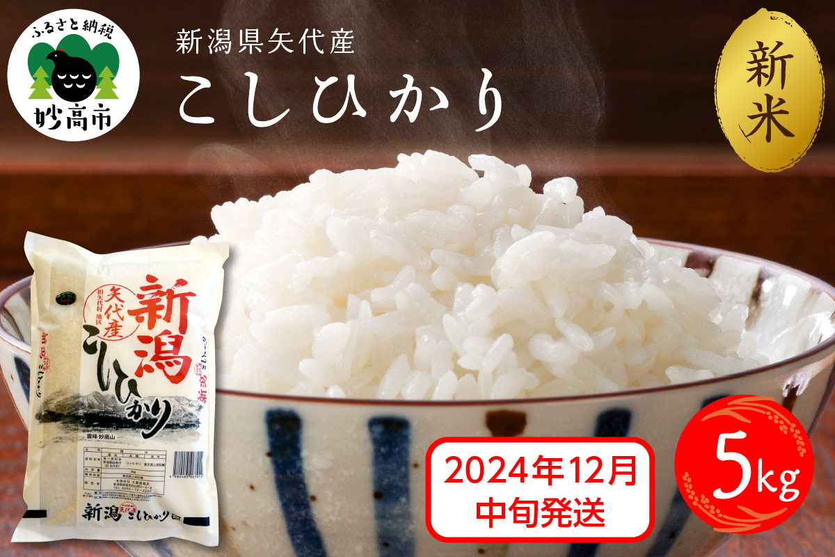 【2024年12月中旬発送】新潟県矢代産コシヒカリ5kg