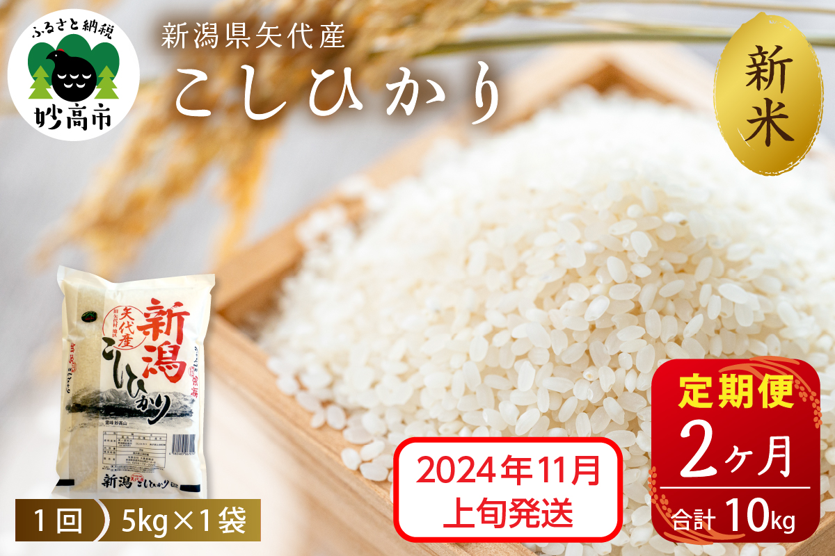 【2024年11月上旬発送】【定期便】令和6年産 新潟県矢代産コシヒカリ5kg×2回（計10kg）