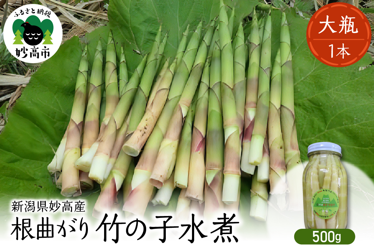妙高産根曲がり竹の子水煮【大瓶】 500g