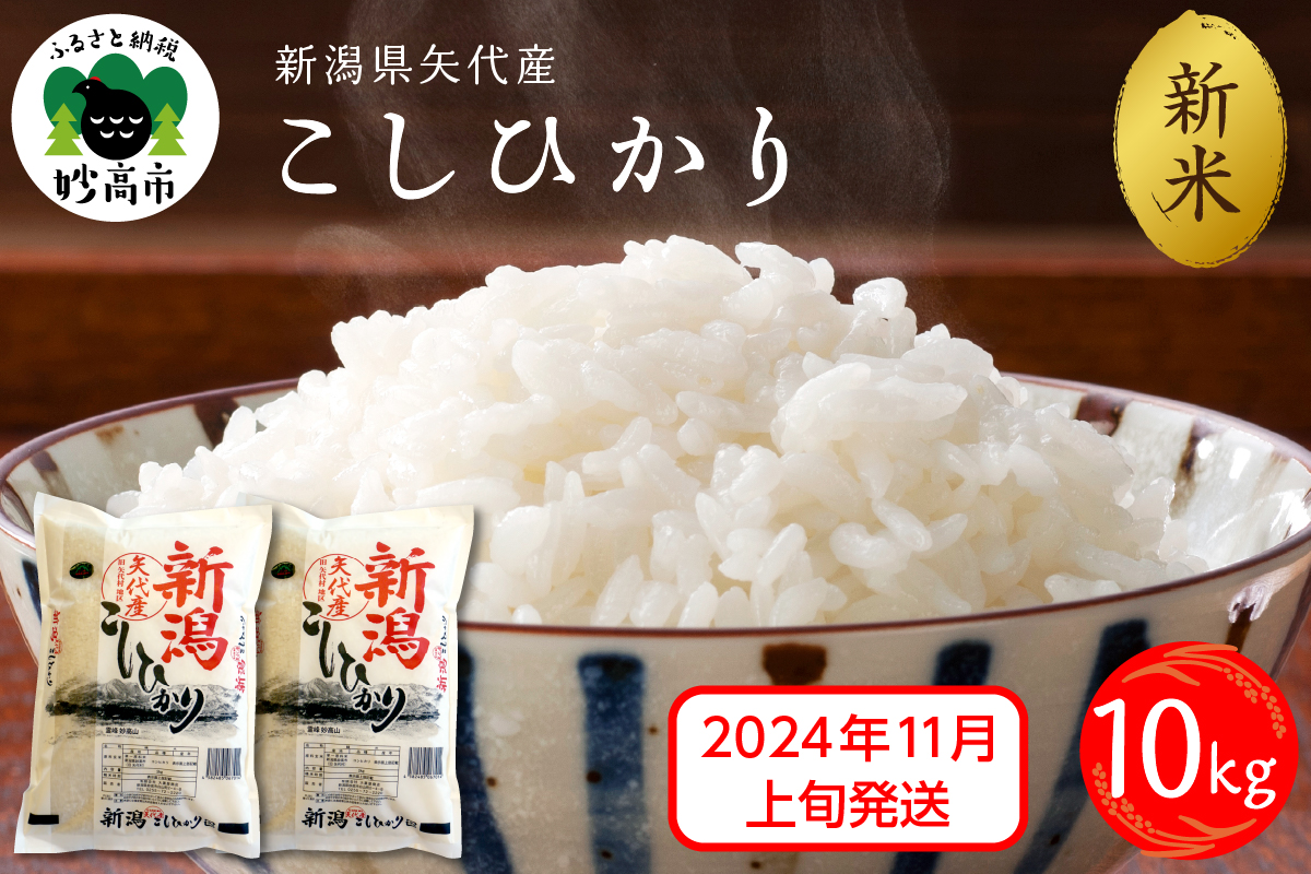 【2024年11月上旬発送】令和6年産 新潟県矢代産コシヒカリ10kg