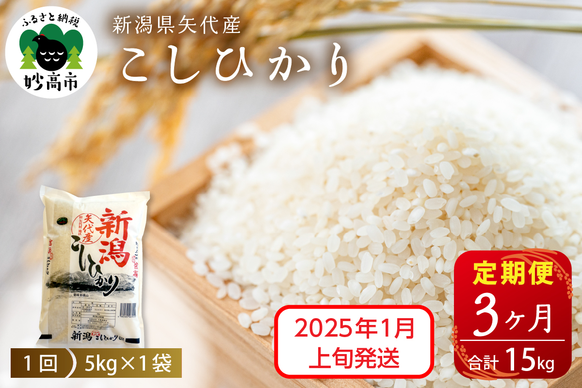 【2025年1月上旬発送】【定期便】令和6年産 新潟県矢代産コシヒカリ5kg×3回（計15kg）