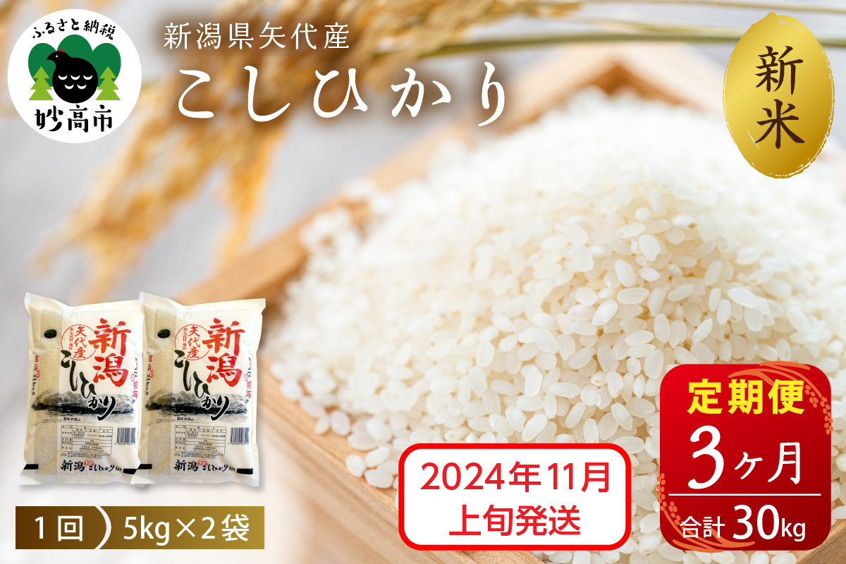 【2024年11月上旬発送】【定期便】令和6年産 新潟県矢代産コシヒカリ10kg(5kg×2袋)×3回（計30kg）