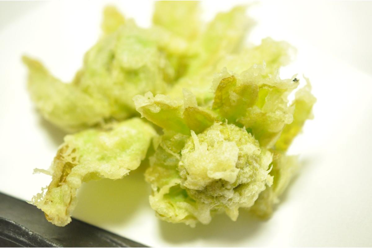 【3月中旬より発送】天然ふきのとう 山菜 天ぷら ふきのとう味噌 春の味覚 産地直送 国産 新潟県 妙高市