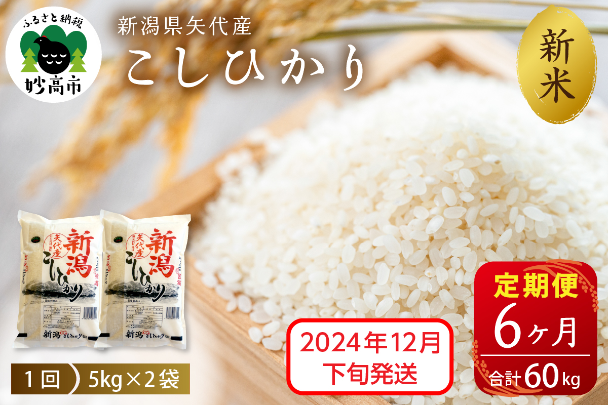 【2024年12月下旬発送】【定期便】令和6年産 新潟県矢代産コシヒカリ10kg(5kg×2袋)×6回（計60kg）