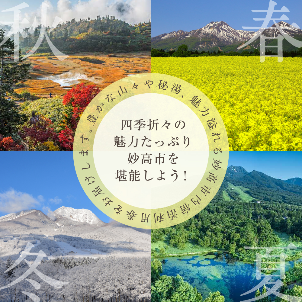 新潟県妙高市内宿泊利用券10,000円分2枚