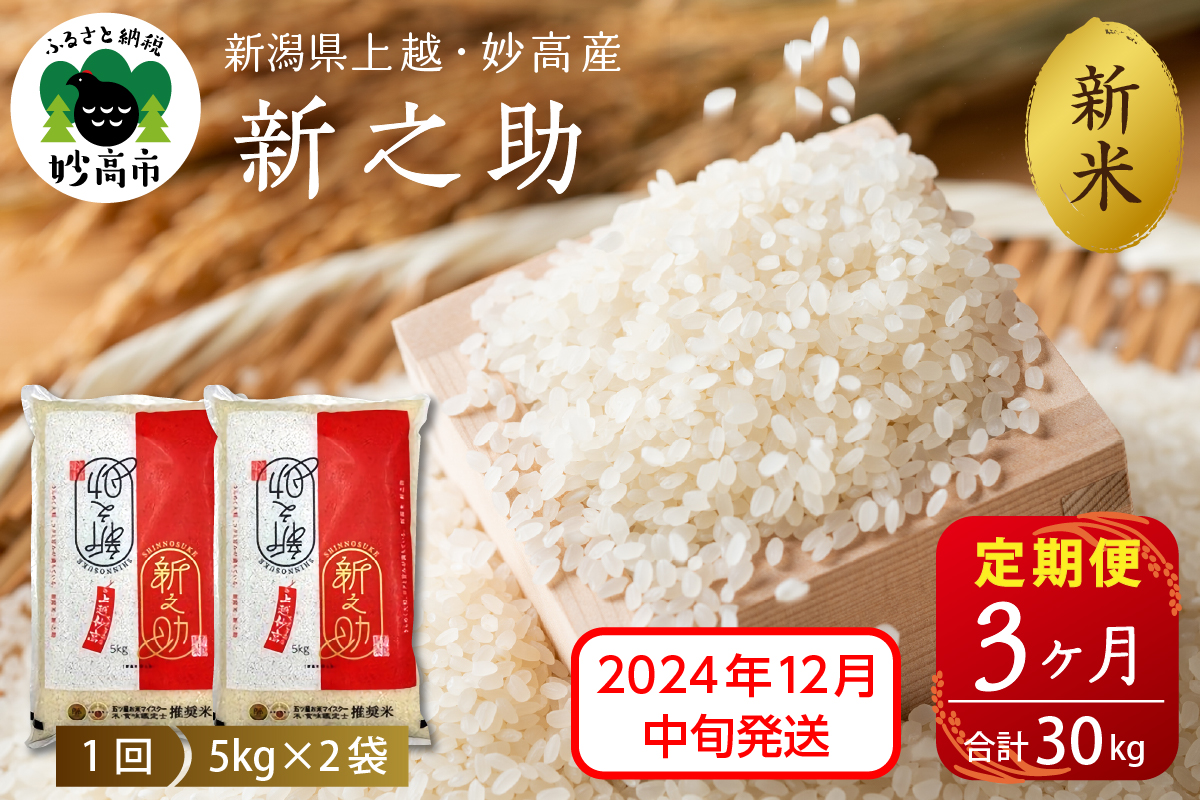 【2024年12月中旬発送】【定期便】令和6年産 新潟県上越・妙高産新之助10kg(5kg×2袋)×3回（計30kg）