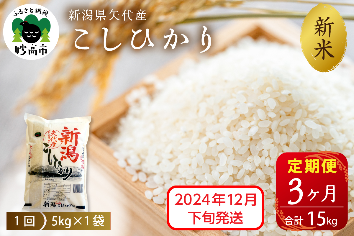 【2024年12月下旬発送】【定期便】令和6年産 新潟県矢代産コシヒカリ5kg×3回（計15kg）