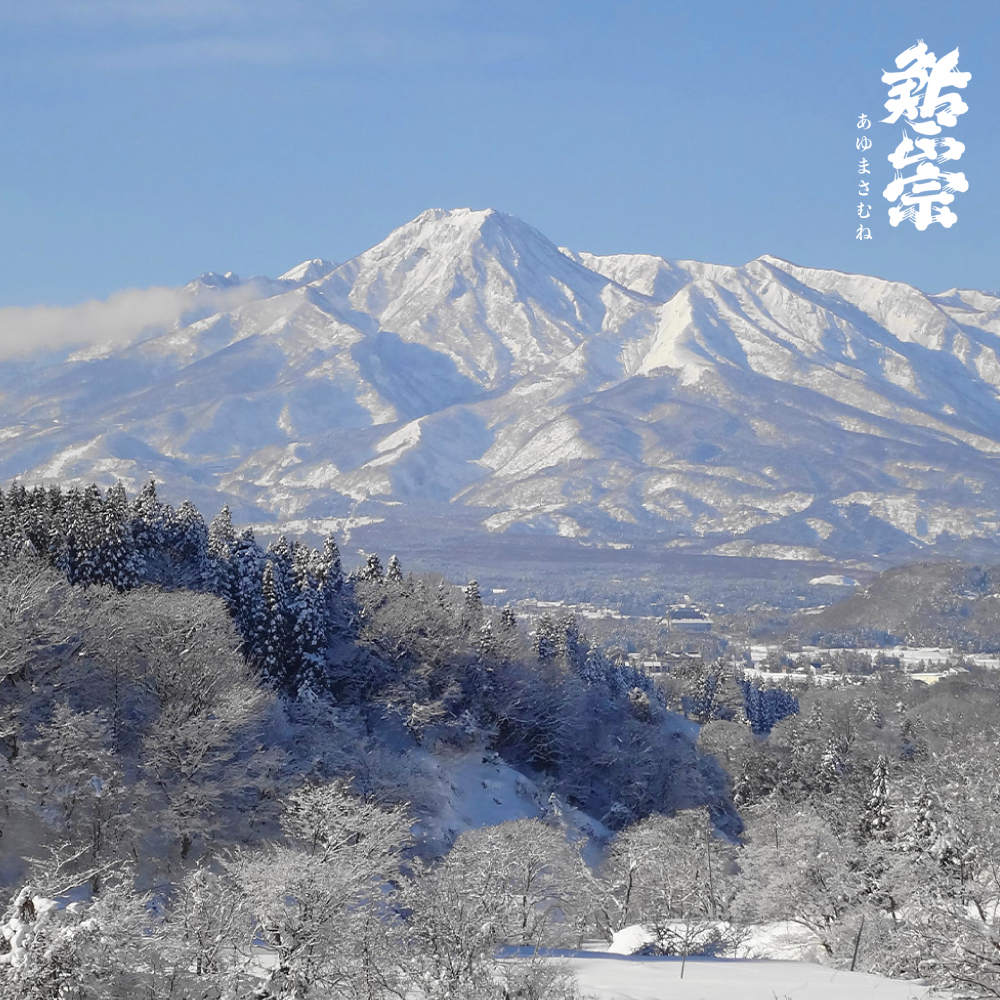 鮎正宗厳選純米のみくらべセット
