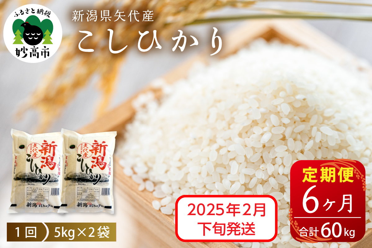 【2025年2月下旬発送】【定期便】令和6年産 新潟県矢代産コシヒカリ10kg(5kg×2袋)×6回（計60kg）