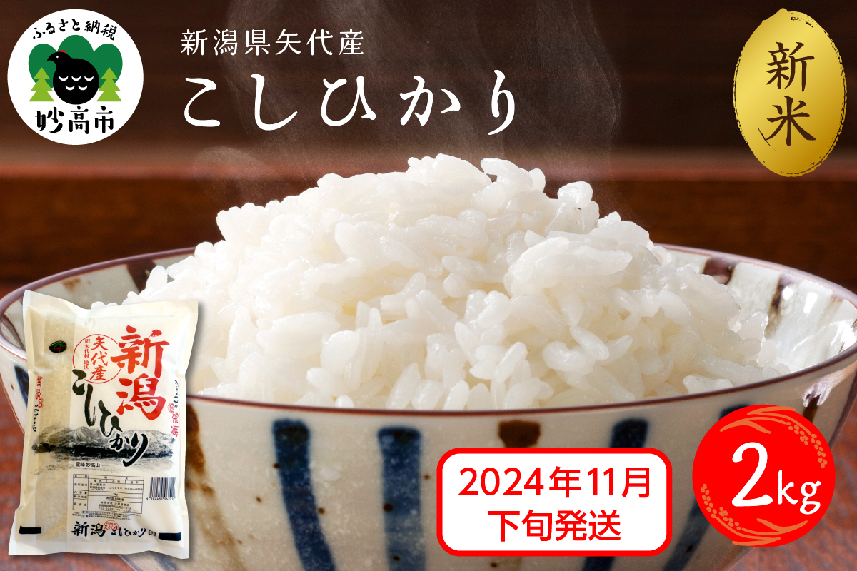 【2024年11月下旬発送】令和6年産 新潟県矢代産コシヒカリ2kg