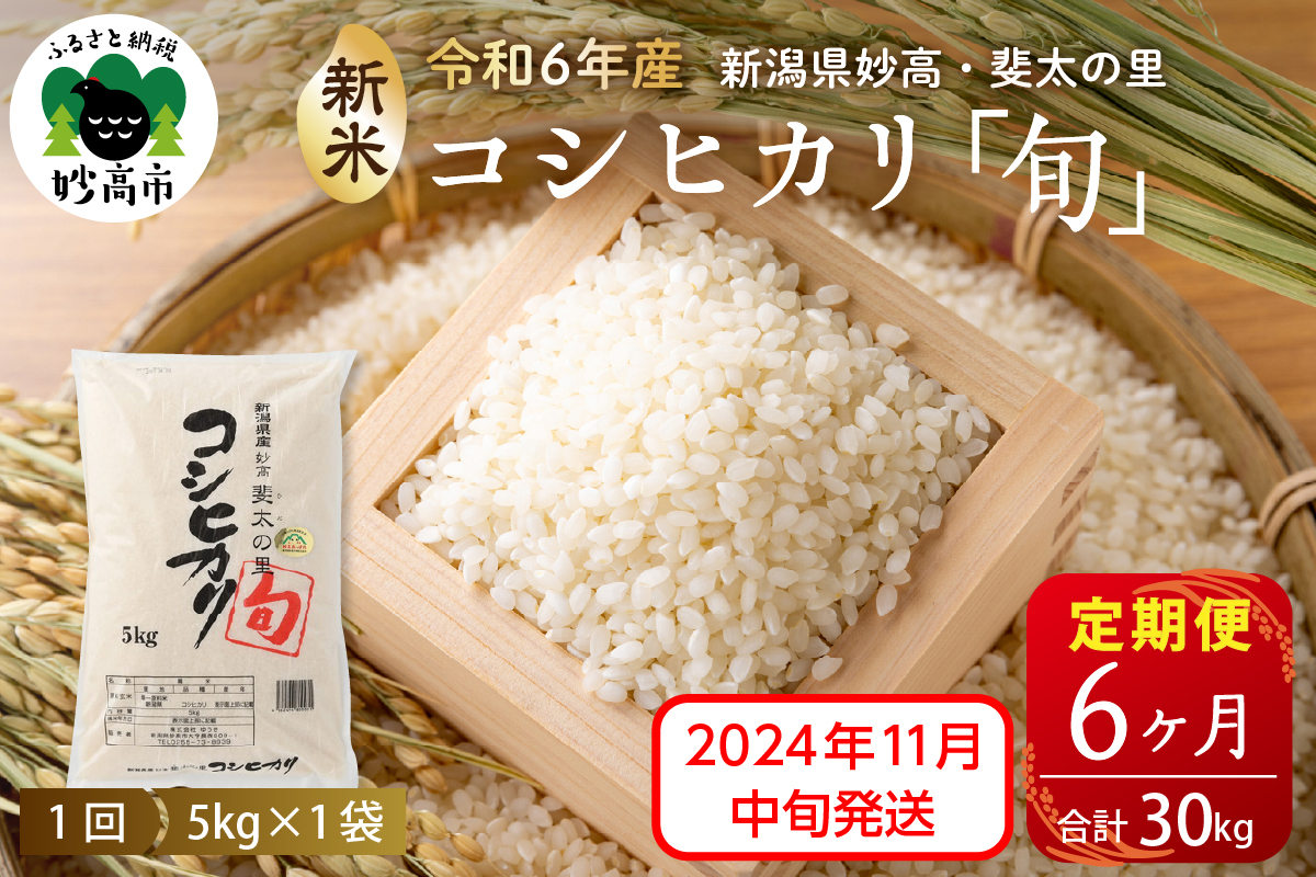 【2024年11月中旬発送】【定期便】令和6年産新潟県妙高産斐太の里コシヒカリ「旬」5kg×6回（計30kg）