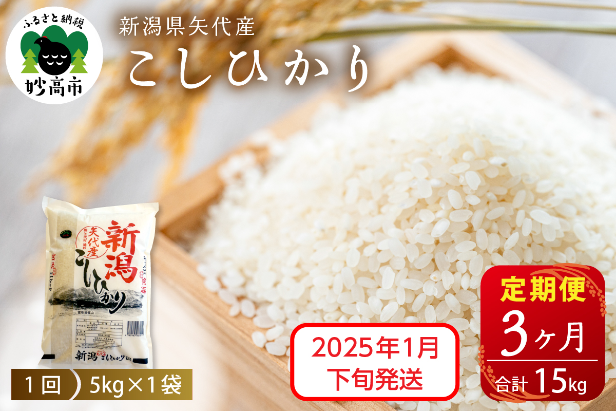 【2025年1月下旬発送】【定期便】令和6年産 新潟県矢代産コシヒカリ5kg×3回（計15kg）