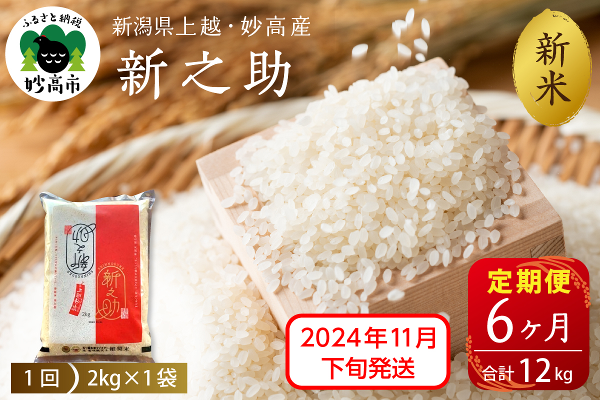 【2024年11月下旬発送】【定期便】令和6年産 新潟県上越・妙高産新之助2kg×6回（計12kg）