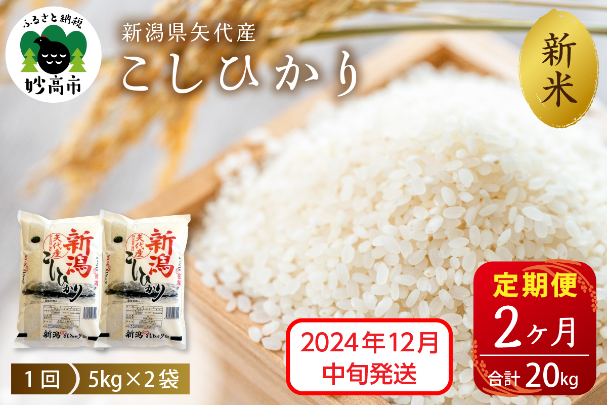 【2024年12月中旬発送】【定期便】令和6年産 新潟県矢代産コシヒカリ10kg(5kg×2袋)×2回（計20kg）