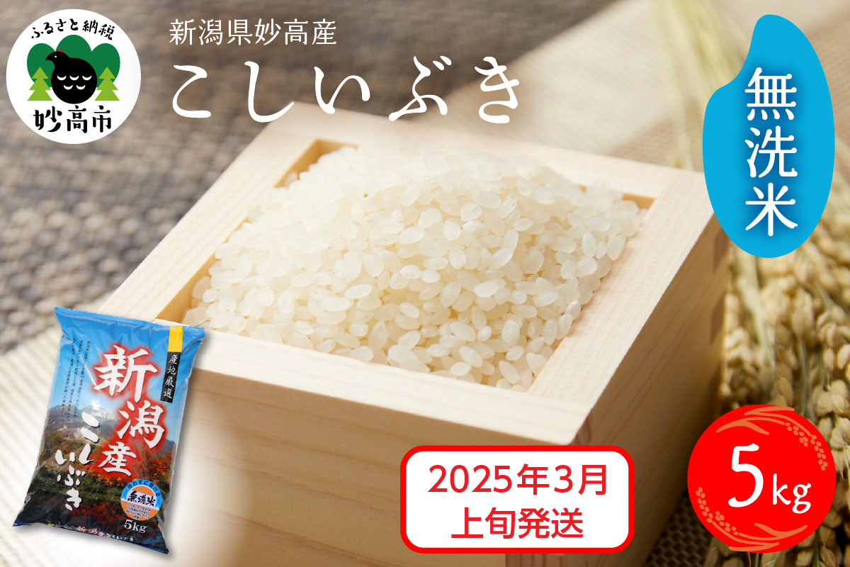 【2025年3月上旬発送】令和6年産 新潟県妙高産こしいぶき5kg 無洗米