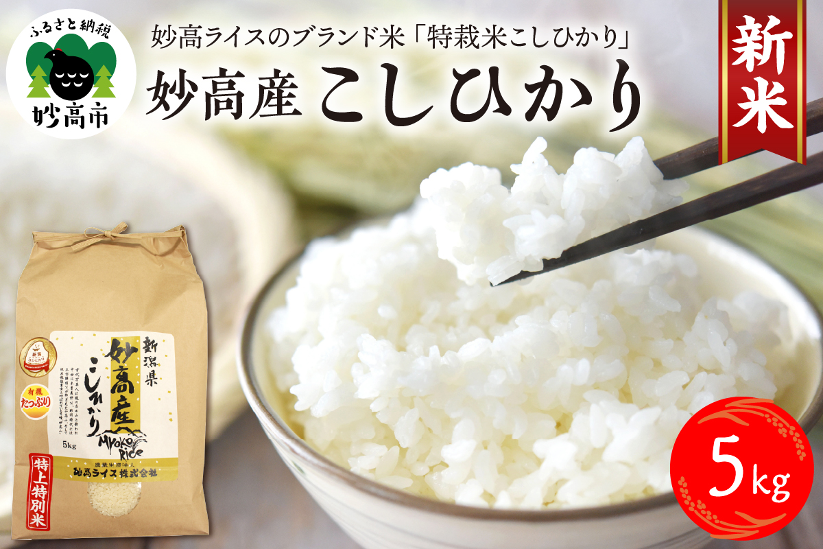 【令和6年産】妙高産こしひかり特別栽培米5kg