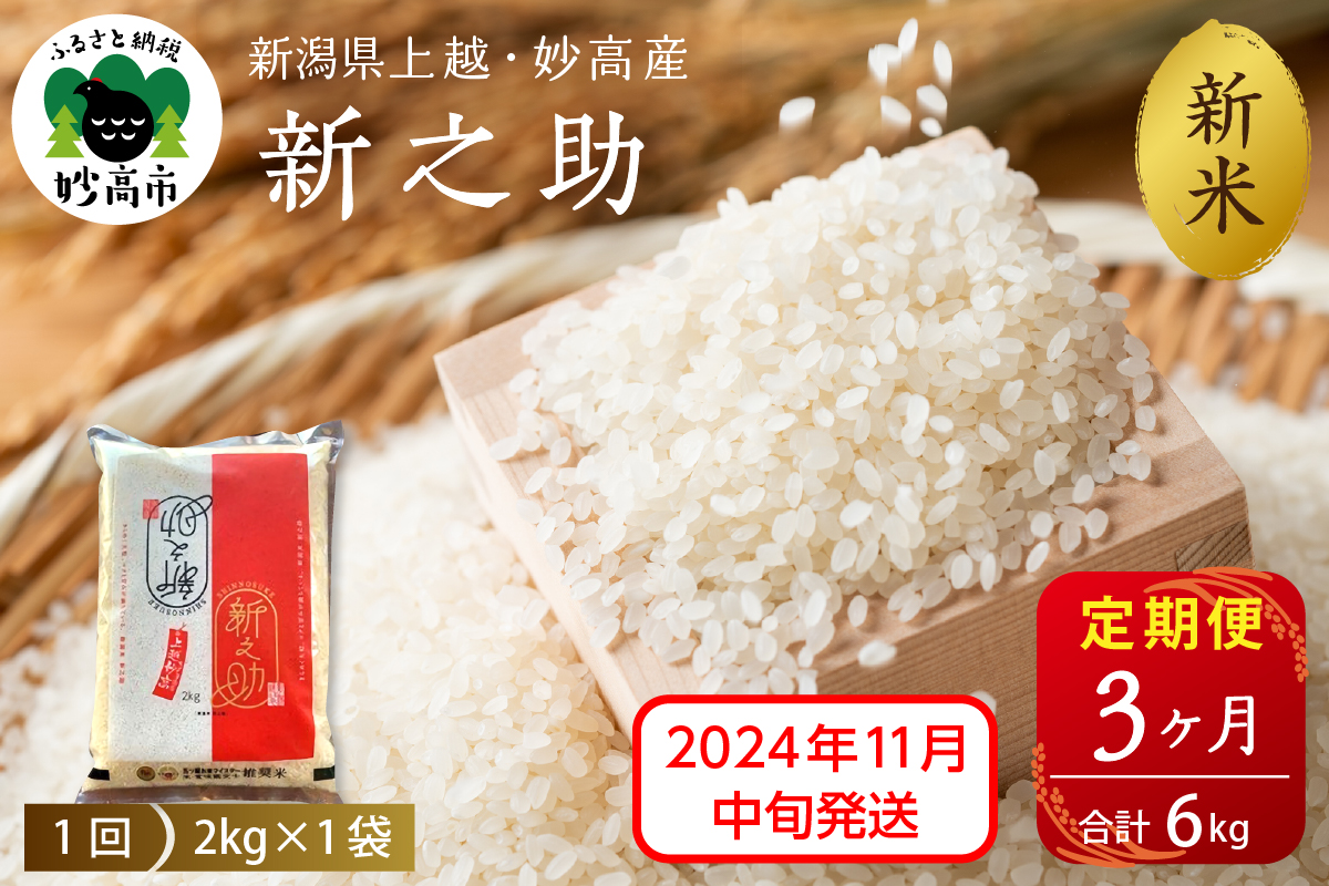 【2024年11月中旬発送】【定期便】令和6年産 新潟県上越・妙高産新之助2kg×3回（計6kg）