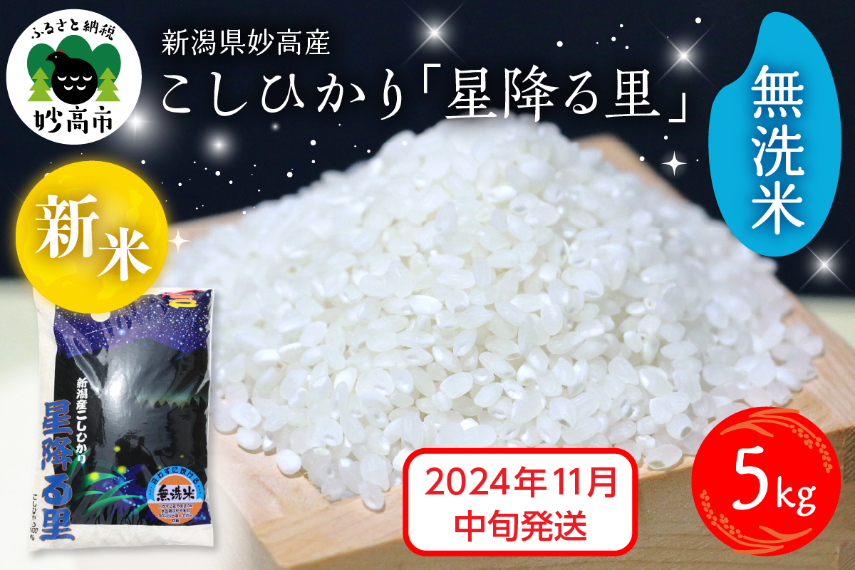 【2024年11月中旬発送】令和6年産 新潟県妙高産こしひかり「星降る里」5kg 無洗米