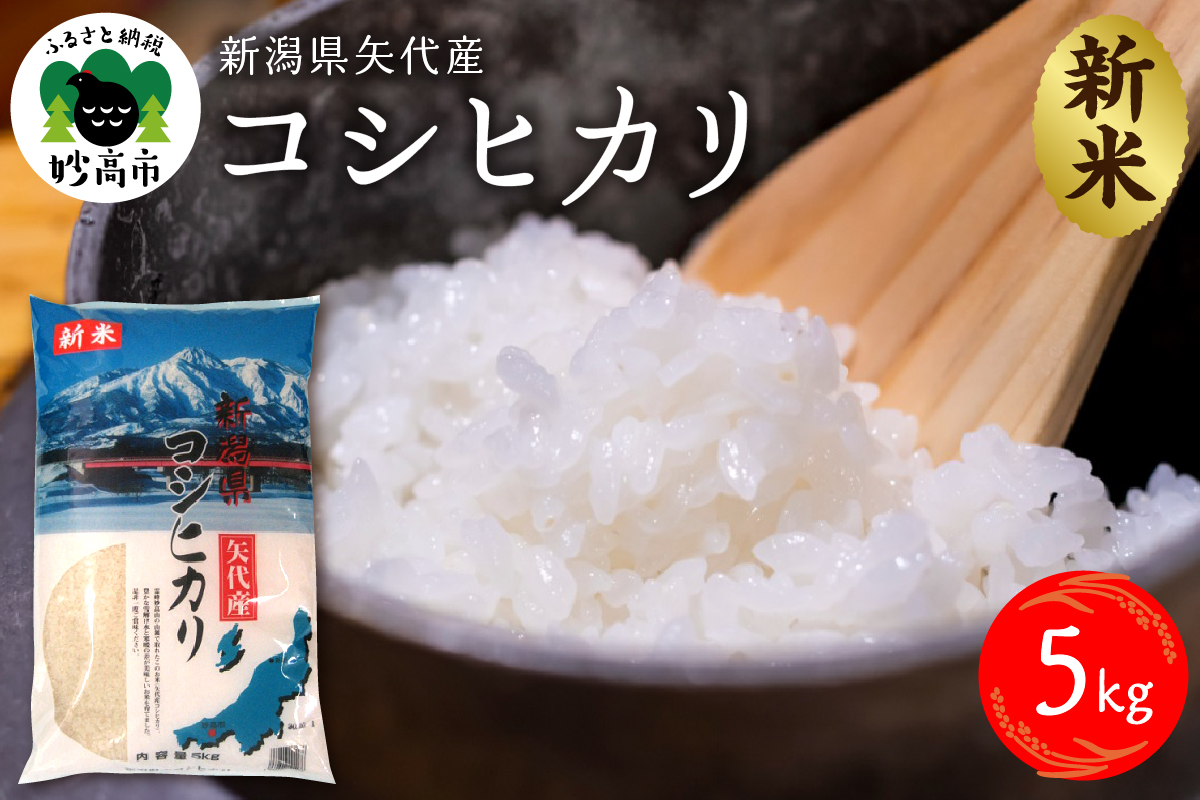 令和6年産新潟県矢代産コシヒカリ５kg