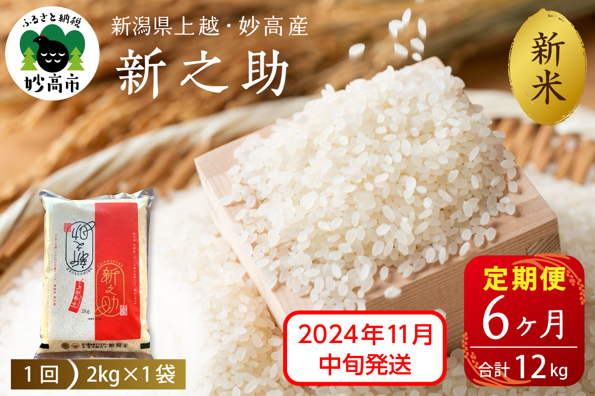 【2024年11月中旬発送】【定期便】令和6年産 新潟県上越・妙高産新之助2kg×6回（計12kg）