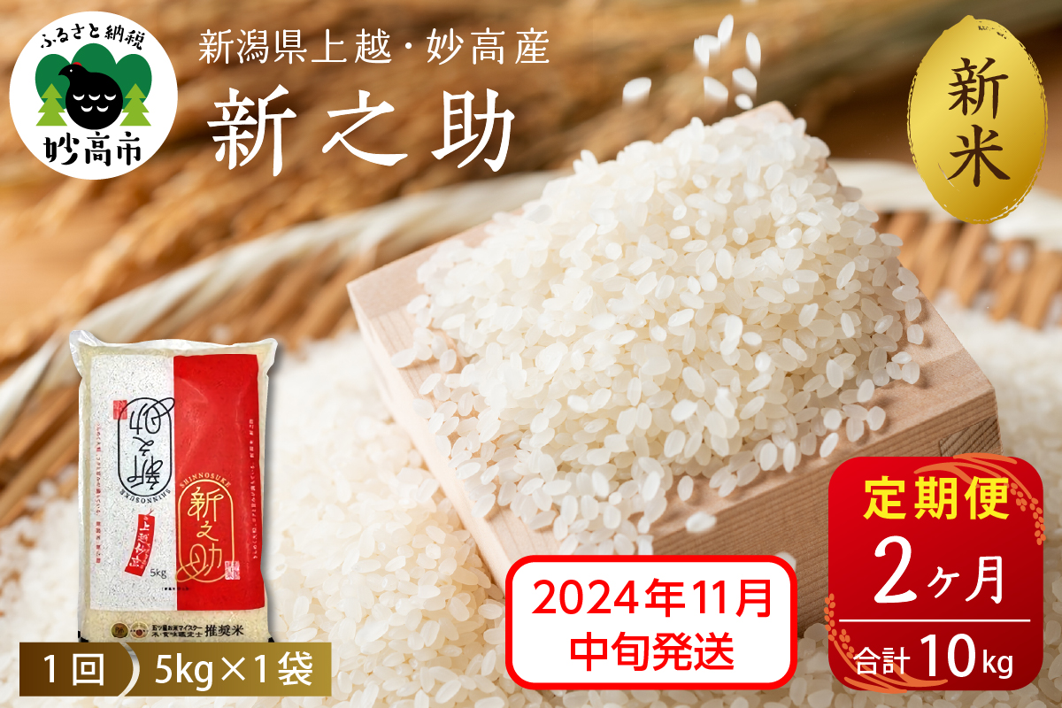 【2024年11月中旬発送】【定期便】令和6年産 新潟県上越・妙高産新之助5kg×2回（計10kg）