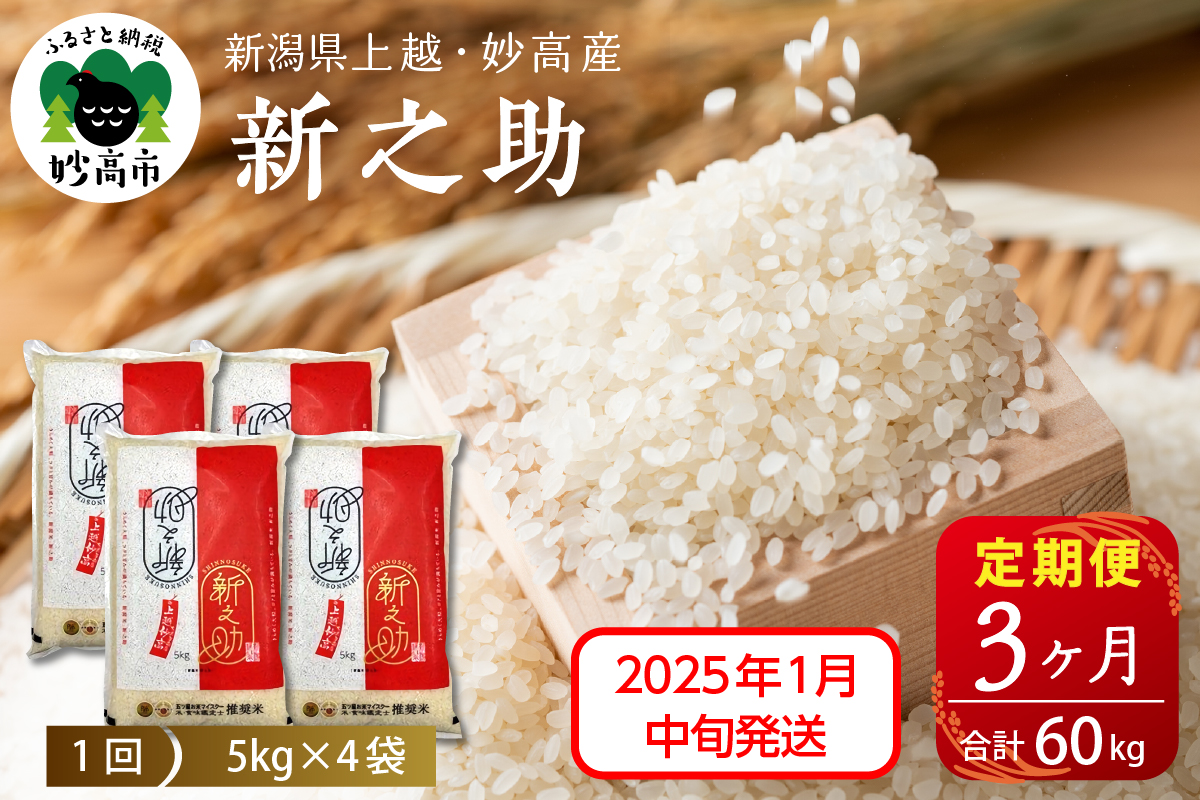 【2025年1月中旬発送】【定期便】令和6年産 新潟県上越・妙高産新之助20kg(5kg×4袋)×3回（計60kg）