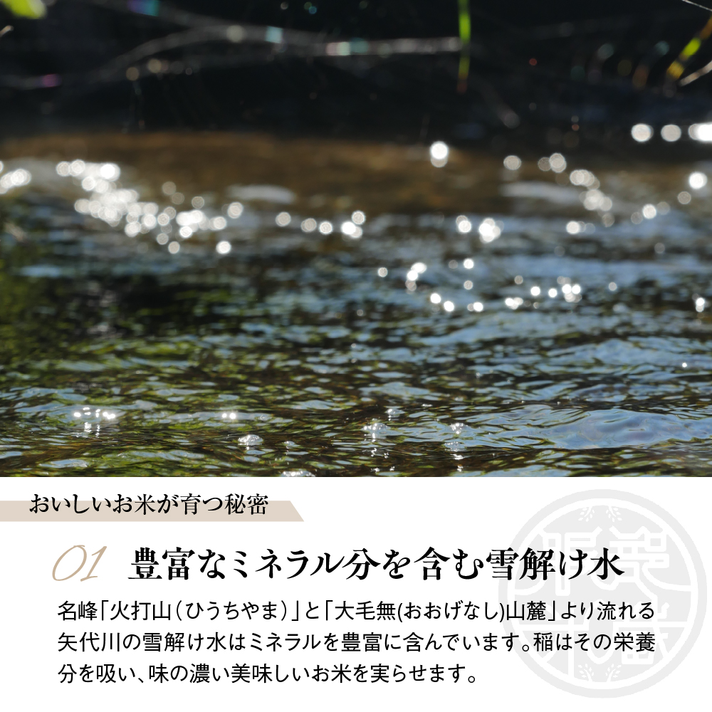 【令和6年産新米】服部米蔵の妙高矢代産コシヒカリ5kg